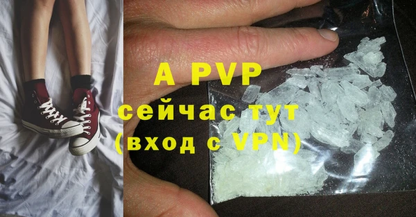 PSILOCYBIN Баксан
