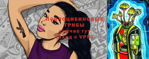 шишки Балабаново