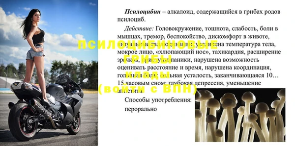 2c-b Белокуриха