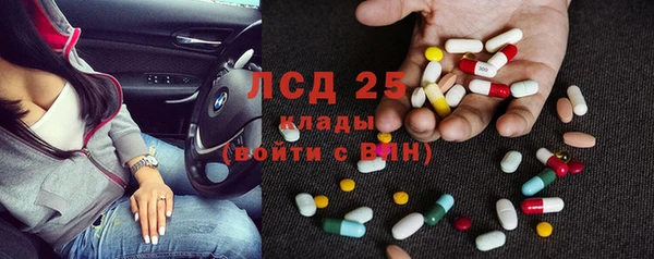 шишки Балабаново