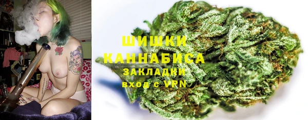 шишки Балабаново