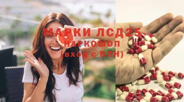 ешки Беломорск