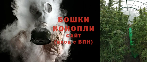 PSILOCYBIN Баксан