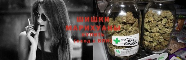 PSILOCYBIN Баксан