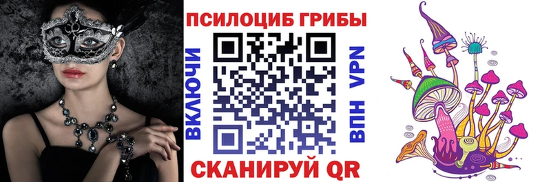 где купить наркотик  Константиновск  Галлюциногенные грибы Psilocybe 